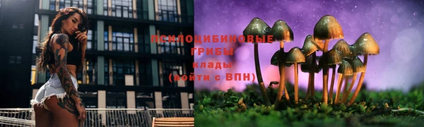spice Козловка