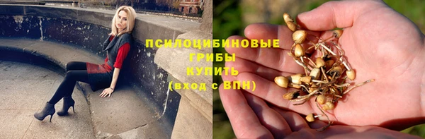 spice Козловка